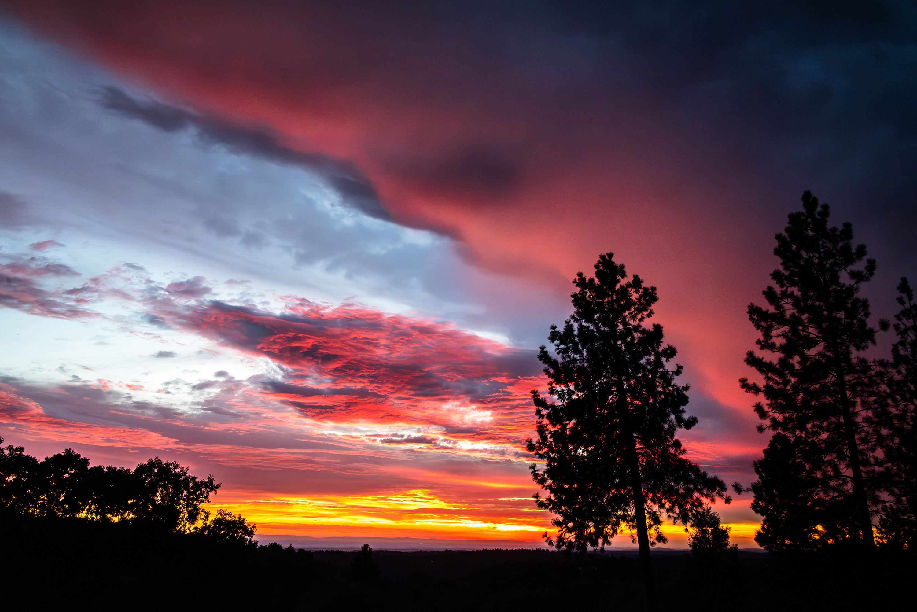 Vibrant Pink, Orange and Yellow Sunset with swirly clouds and tree silouhettes